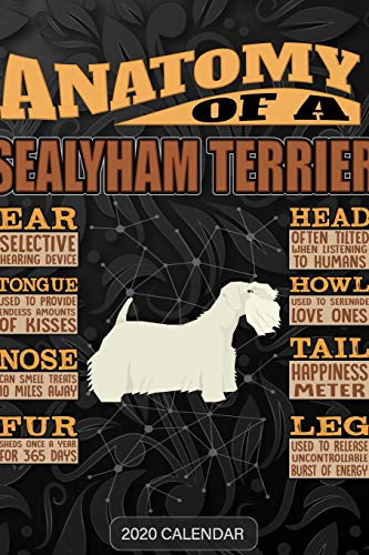 Anatomy Of A Sealyham Terrier: Sealyham Terrier 2020 Calendar - Customized Gift For Sealyham Terrier Dog Owner