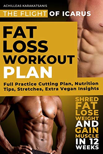 Fat Loss Workout Plan - The Flight Of Icarus