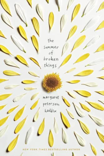 The Summer Of Broken Things