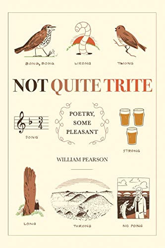 Not Quite Trite: Poetry, Some Pleasant - 9781543494501