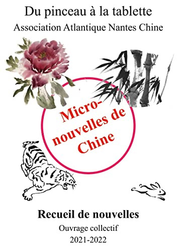 Micronouvelles De Chine (French Edition)