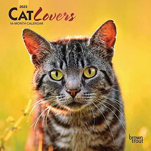 Cat Lovers | 2023 7 X 14 Inch Monthly Mini Wall Calendar | Foil Stamped Cover | Browntrout | Animals Domestic Kittens