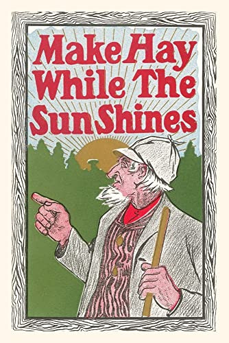 Vintage Journal Make Hay While The Sun Shines (Pocket Sized - Found Image Press Journals)