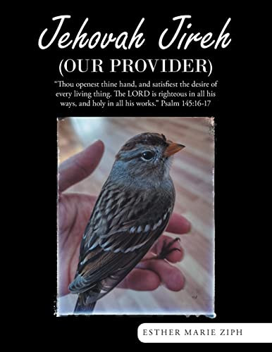 Jehovah Jireh Our Provider