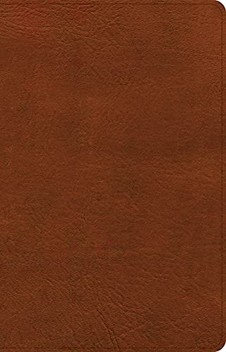 Csb Thinline Reference Bible, Burnt Sienna Leathertouch