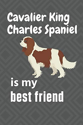 Cavalier King Charles Spaniel is my best friend: For Cavalier King Charles Spaniel Dog Fans