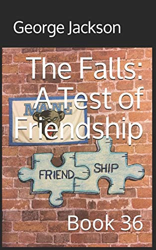 The Falls: A Test of Friendship: Book 36 (The Falls small town mystery series)