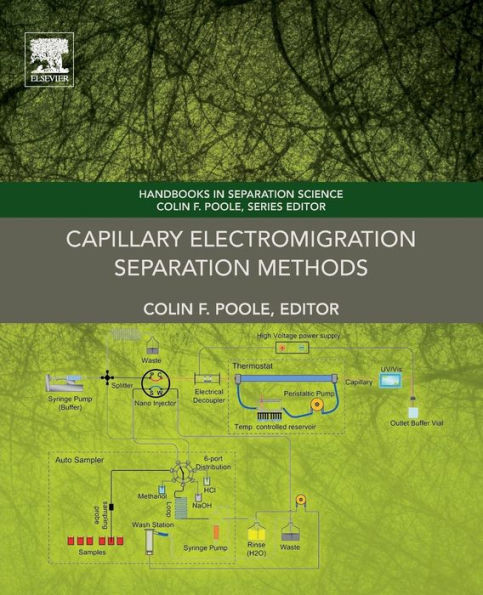 Capillary Electromigration Separation Methods (Handbooks In Separation Science)