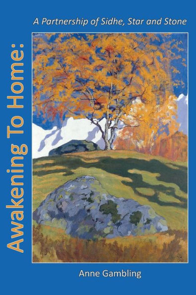 Awakening To Home: A Partnership Of Sidhe, Star And Stone