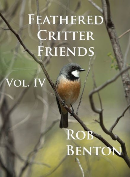 Feathered Critter Friends Vol. Iv