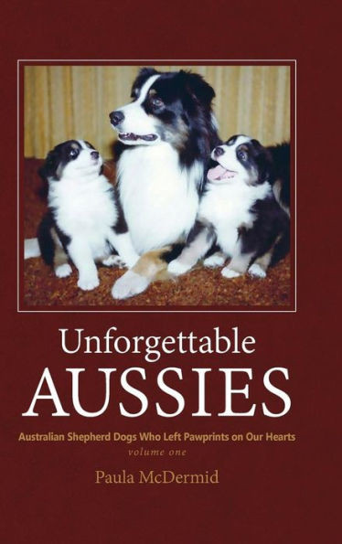 Unforgettable Aussies: Australian Shepherds Who Left Pawprints On Our Hearts