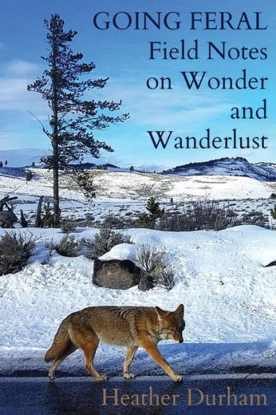 Going Feral: Field Notes On Wonder And Wanderlust
