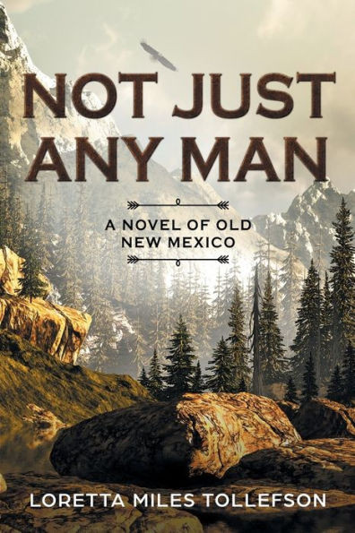 Not Just Any Man: A Novel Of Old New Mexico