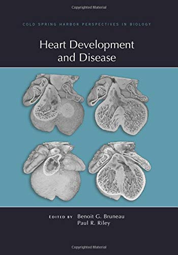 Heart Development and Disease (Perspectives CSHL)
