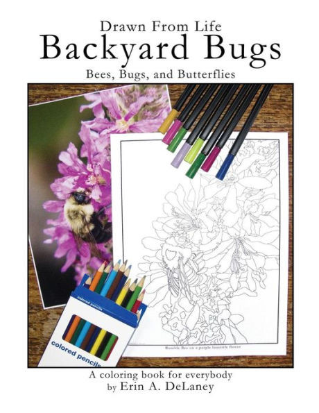 Drawn From Life Backyard Bugs: Bees, Bugs, And Butterflies