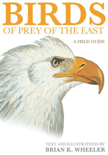Birds Of Prey Of The East: A Field Guide