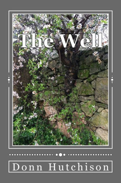 The Well (A Palestinian Saga)