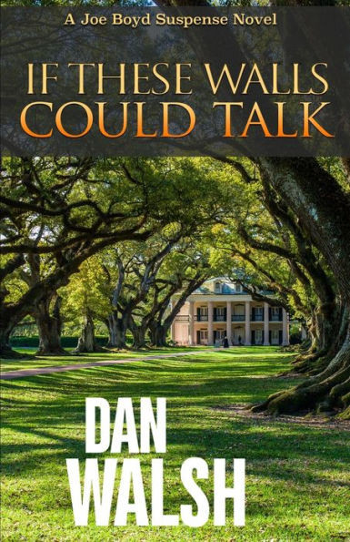 If These Walls Could Talk (Joe Boyd Suspense Series)
