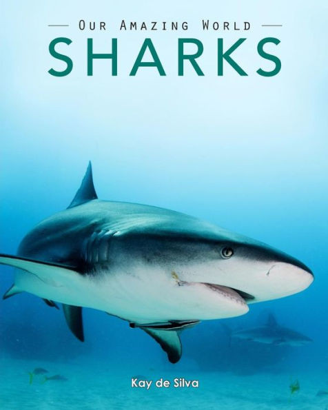 Sharks: Amazing Pictures & Fun Facts On Animals In Nature