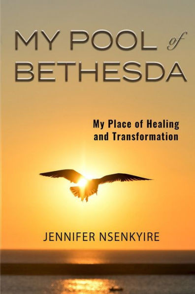 My Pool Of Bethesda