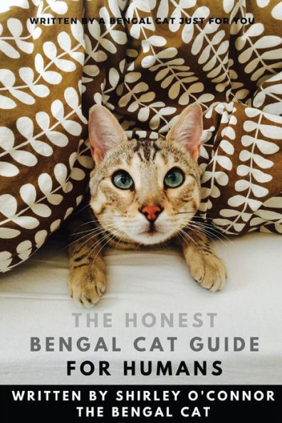 The Honest Bengal Cat Guide For Humans: Bengal Cat And Kitten Care