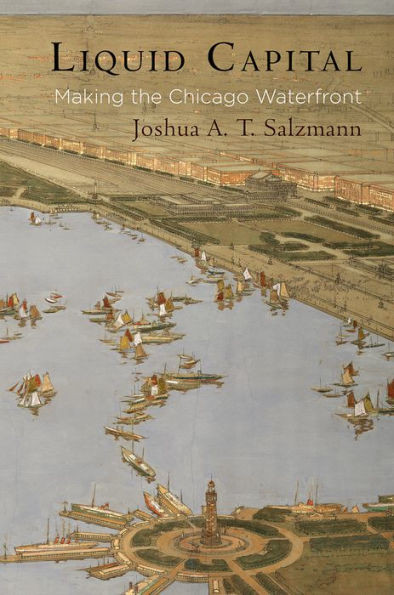 Liquid Capital: Making The Chicago Waterfront (American Business, Politics, And Society)