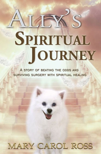 Ally'S Spiritual Journey: A Story Of Beating The Odds And Surviving Surgery With Spiritual Healing