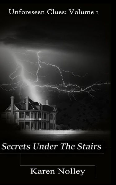 Secrets Under The Stairs