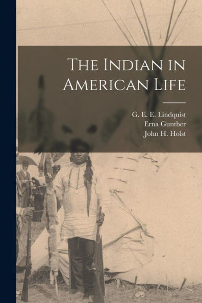 The Indian In American Life