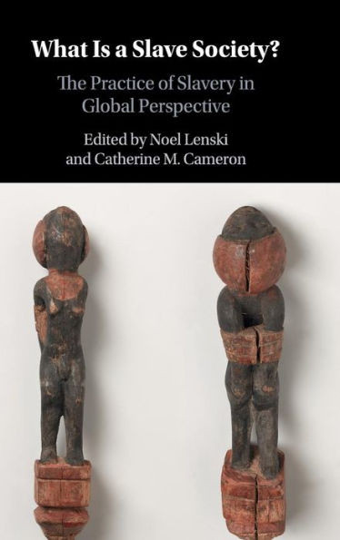What Is a Slave Society?: The Practice of Slavery in Global Perspective