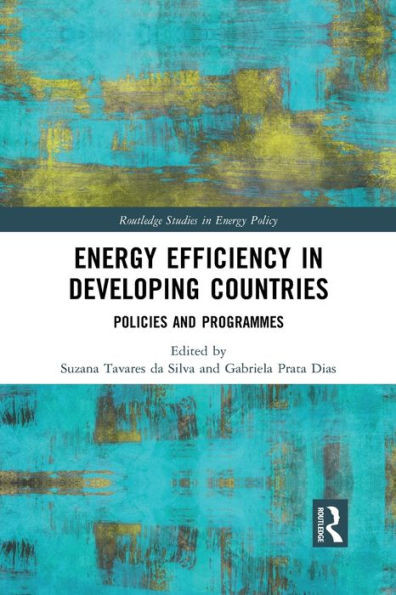Energy Efficiency in Developing Countries (Routledge Studies in Energy Policy)