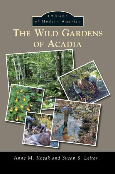 The Wild Gardens Of Acadia