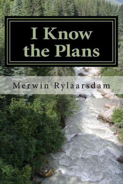 I Know The Plans