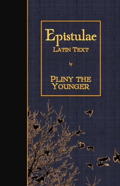 Epistulae: Latin Text (Latin Edition)