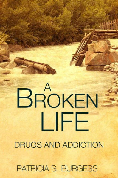 A Broken Life:: Mental Illness Or Addiction