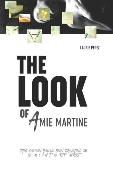 The Look Of Amie Martine (The Amie Series)