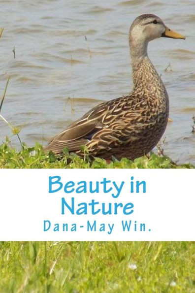 Beauty In Nature