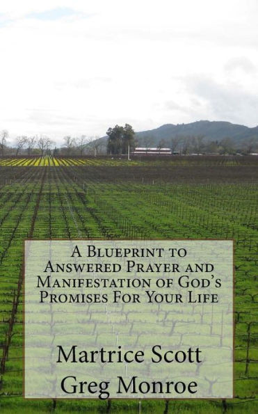A Blueprint To Answered Prayer And Manifestation Of God'S Promises For Your Life