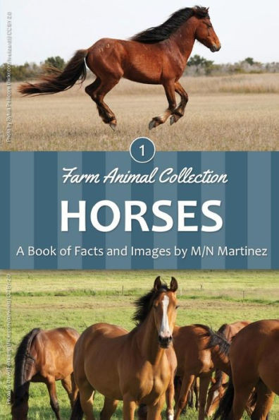 Horses (Farm Animal Collection)