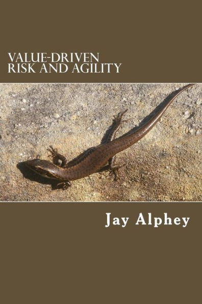 Value-Driven Risk And Agility: Planning That Delivers Value In Changing Environments (Value-Driven Project Management)