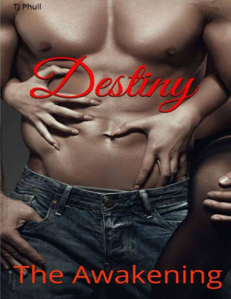 Destiny: The Awakening (Thunderbolt)