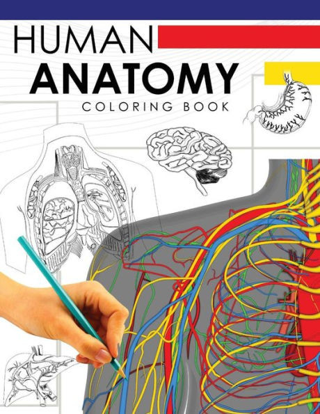 Human Anatomy Coloring Book: A Complete Study Guide (5Th Edition)