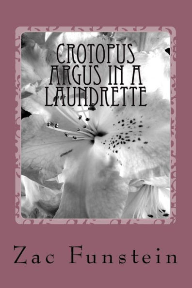 Crotopus Argus In A Laundrette