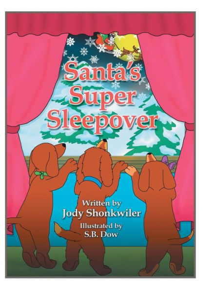 Santa'S Super Sleepover