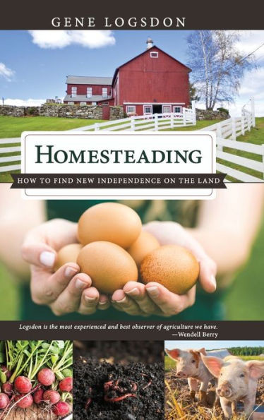 Homesteading: How To Find New Independence On The Land
