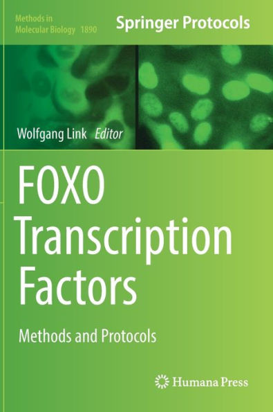 Foxo Transcription Factors: Methods And Protocols (Methods In Molecular Biology, 1890)