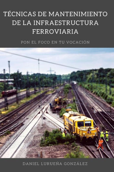 Tecnicas De Mantenimiento De La Infraestructura Ferroviaria (Spanish Edition)