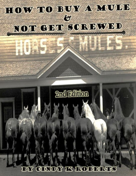 How To Buy A Mule & Not Get Screwed