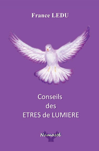 Conseils Des Etres De Lumiere (French Edition)