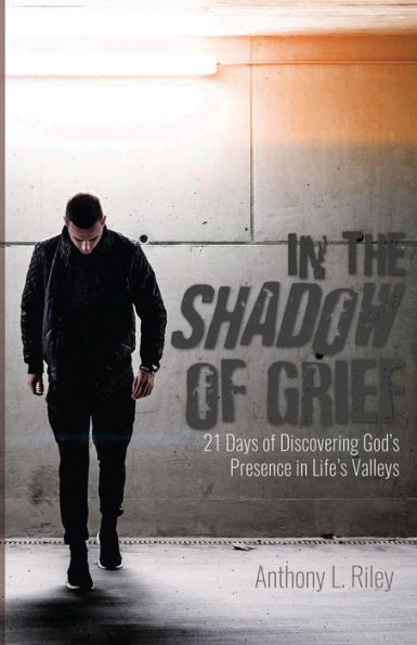 In The Shadow Of Grief: 21 Days Of Discovering God'S Presence In Life'S Valleys